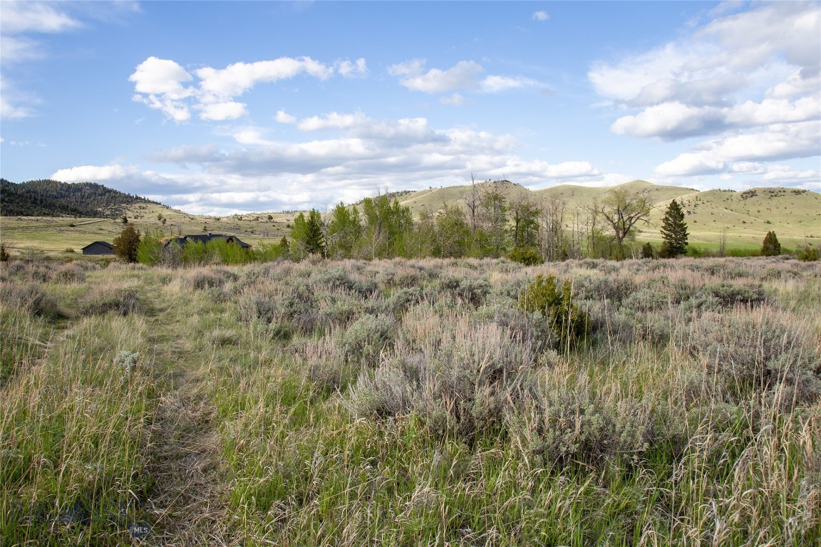 Lot 4 Wey's View