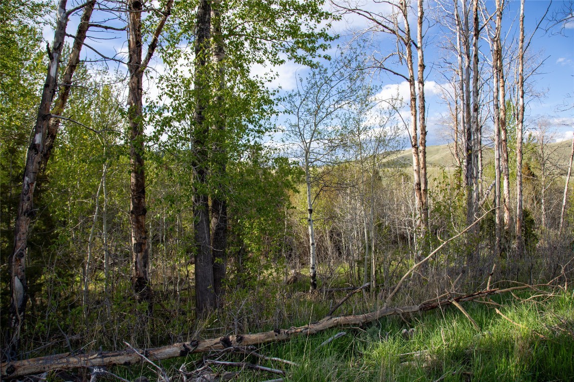 Lot 5 Wey's View