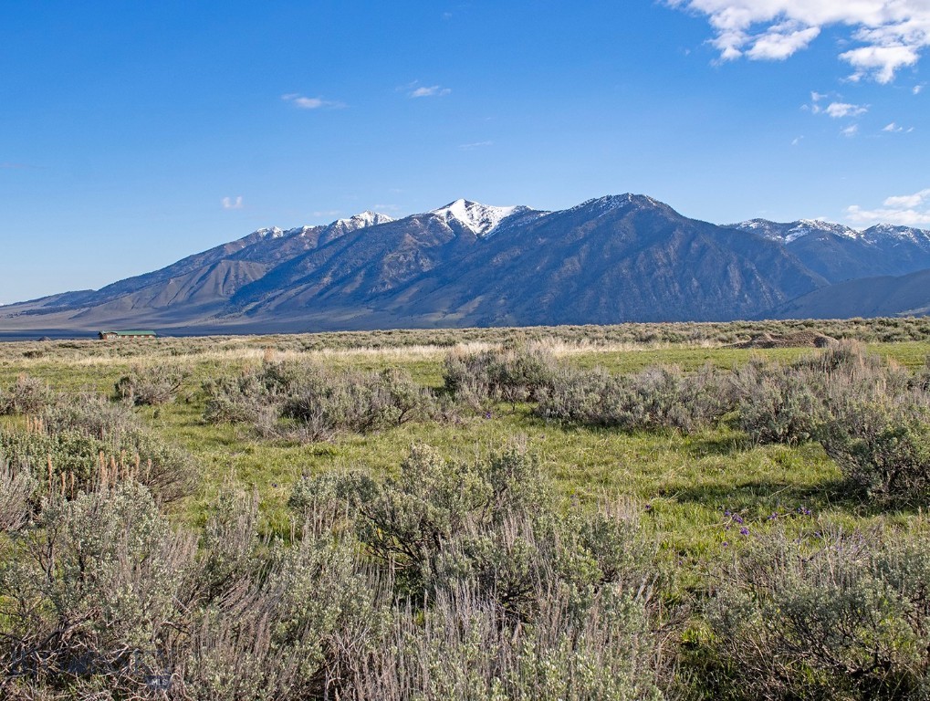 nhn Mile Creek