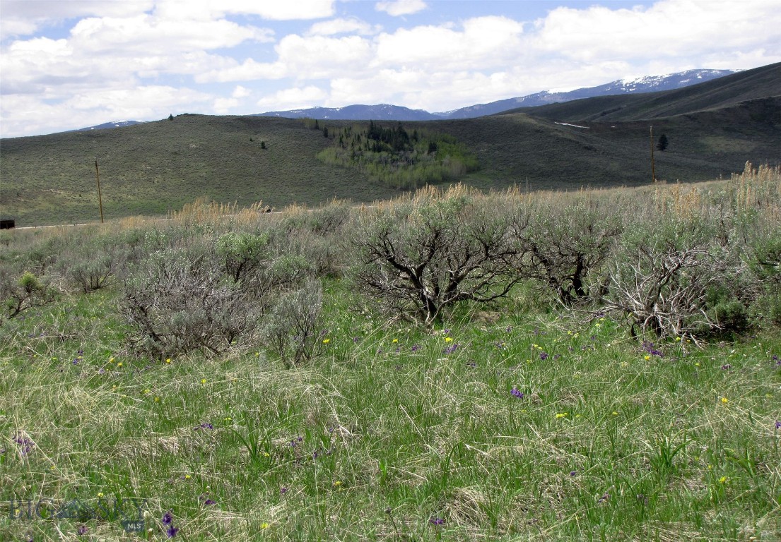 nhn Mile Creek