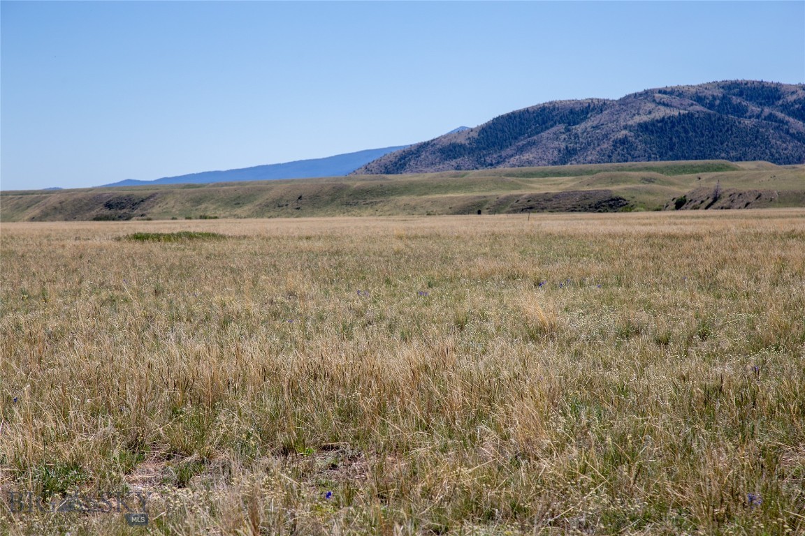 Lot 81 Sphinx Mountain