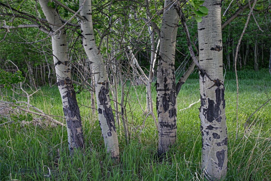 Sun West Ranch Lot 3