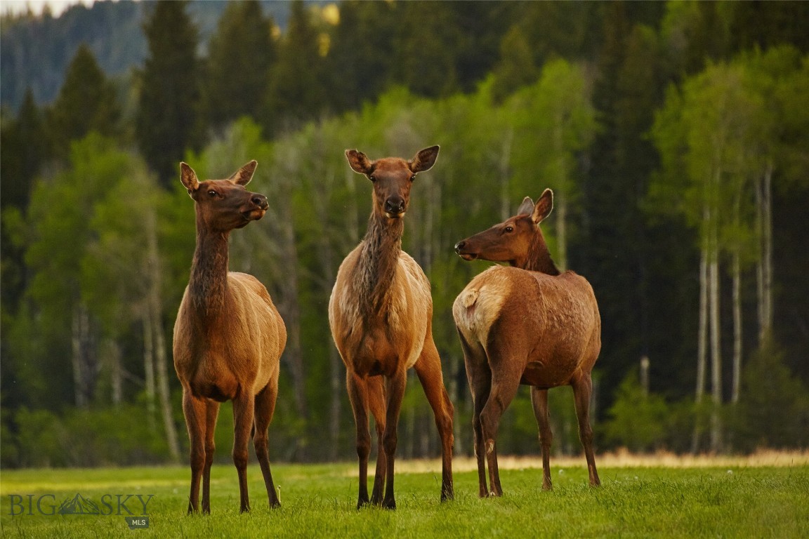 Sun West Ranch Lot 10A