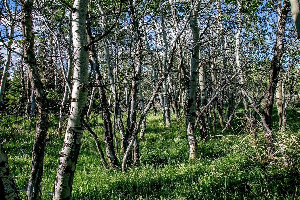 Sun West Ranch Lot 34