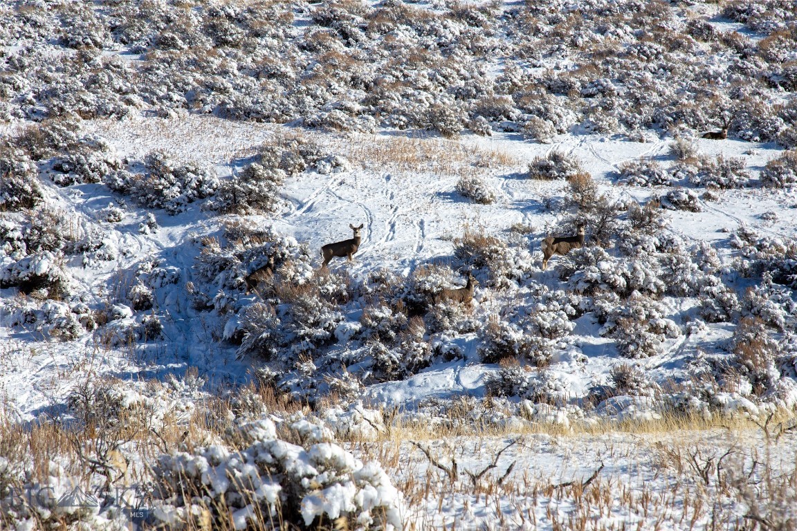 Tract 3 and 4 Shining Mountains West