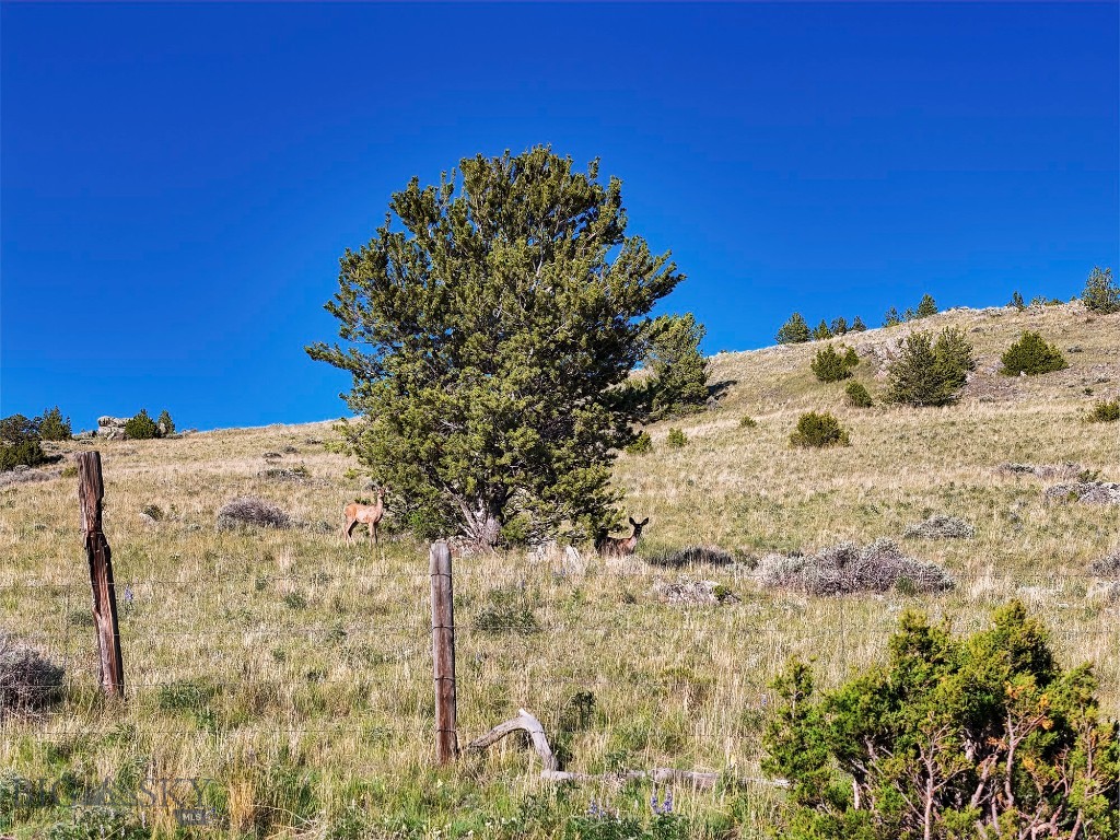 Lost Heart Ranch Ennis Lake Rd