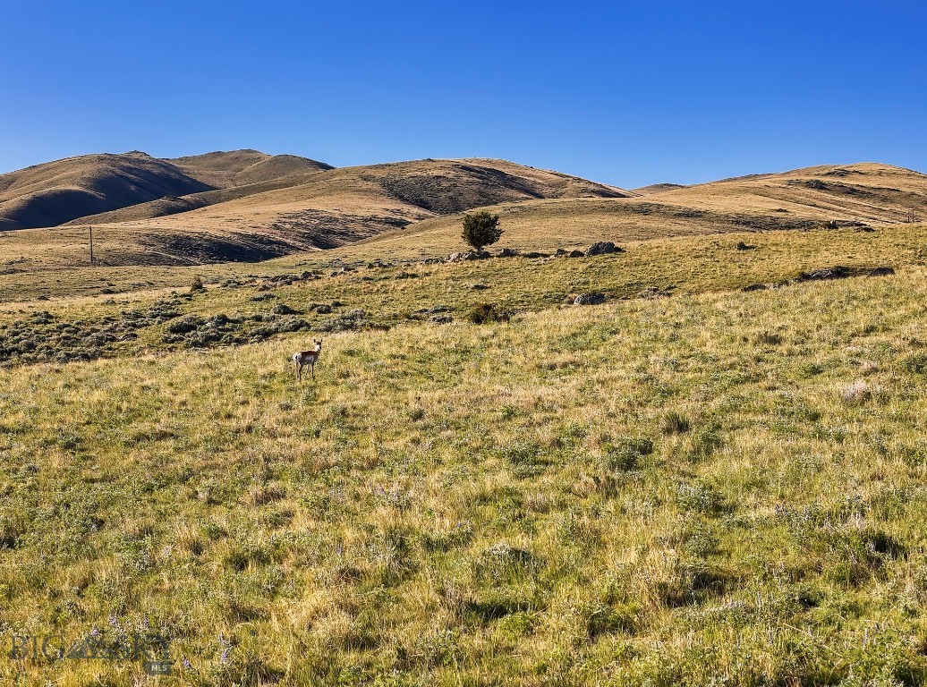 Lost Heart Ranch Ennis Lake Rd