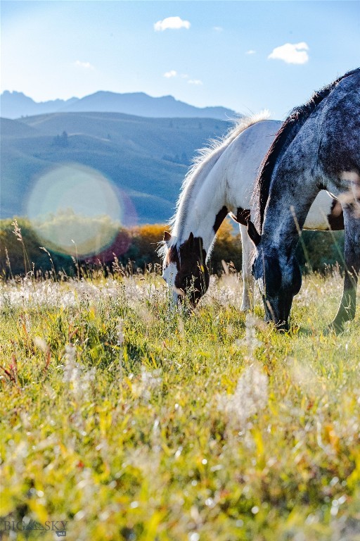 Lot 13 Sun West Ranch