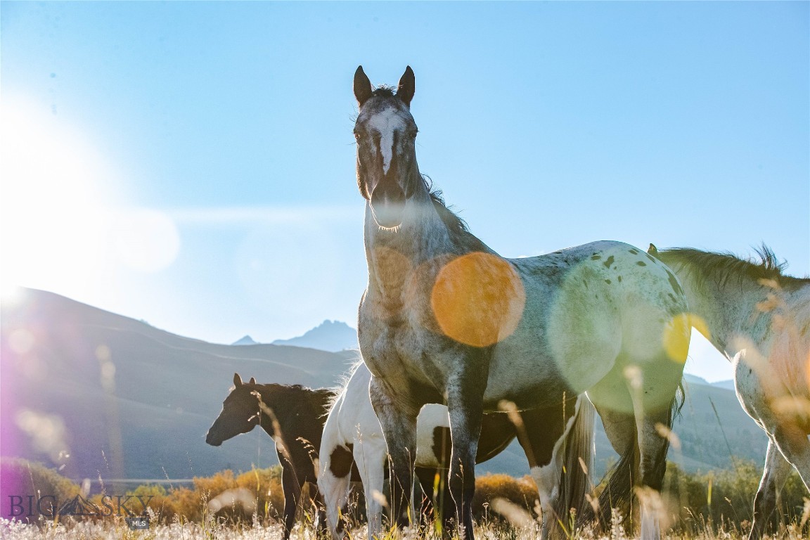 Lot 13 Sun West Ranch