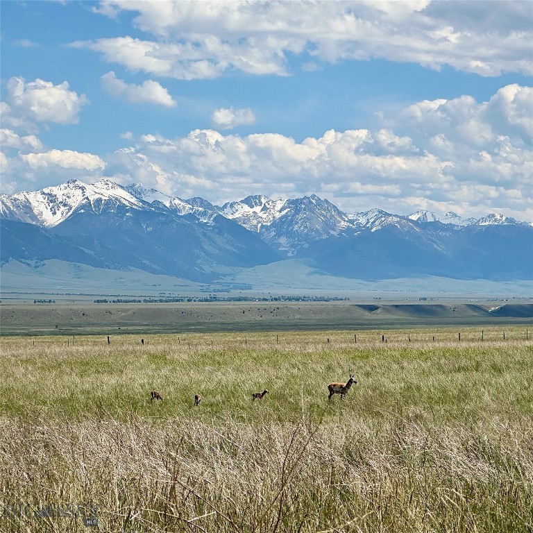 Lot 78 Pronghorn Meadows