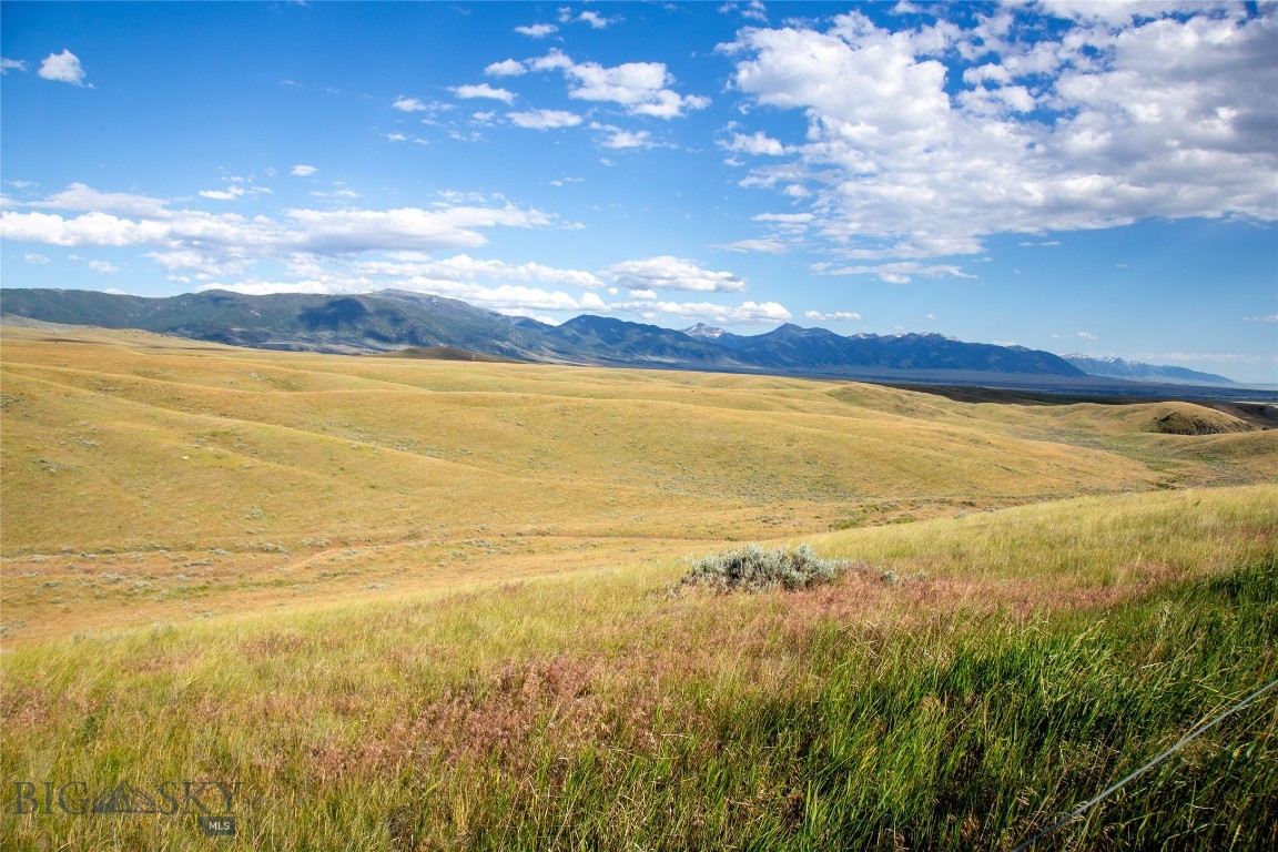 Lots 4, 5, 6, 7, and 8 Twin Knob