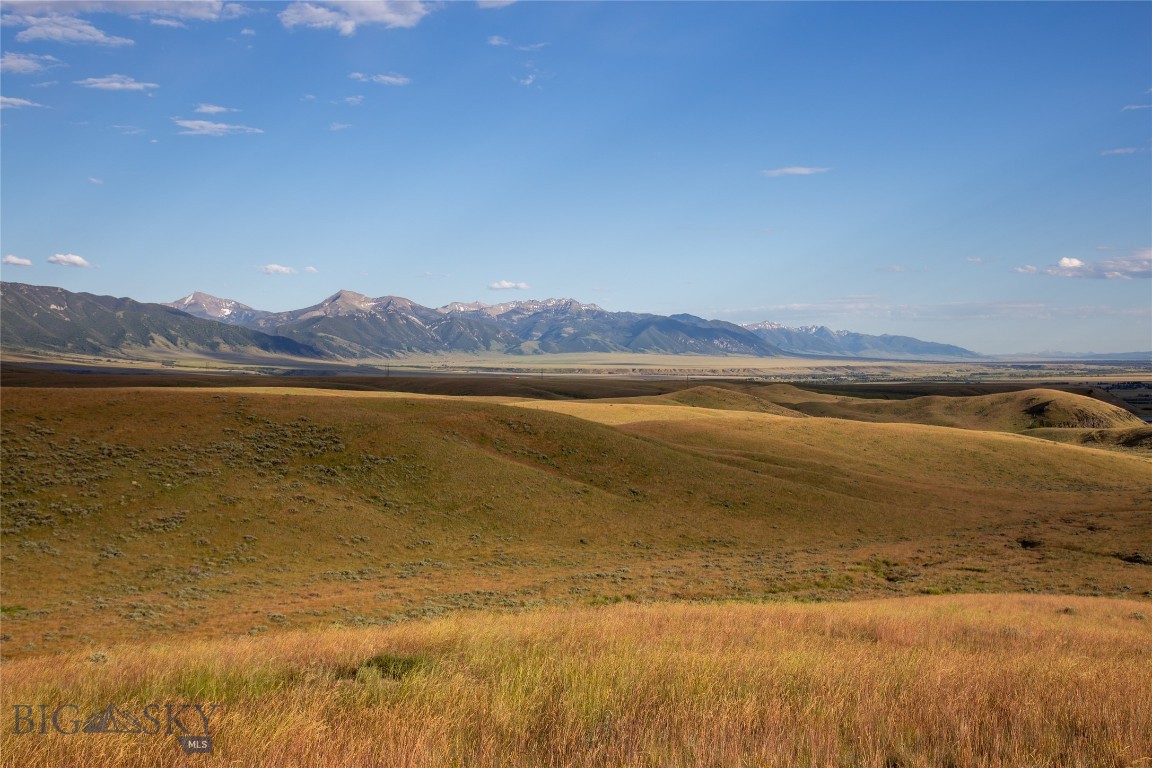 Lots 4, 5, 6, 7, and 8 Twin Knob