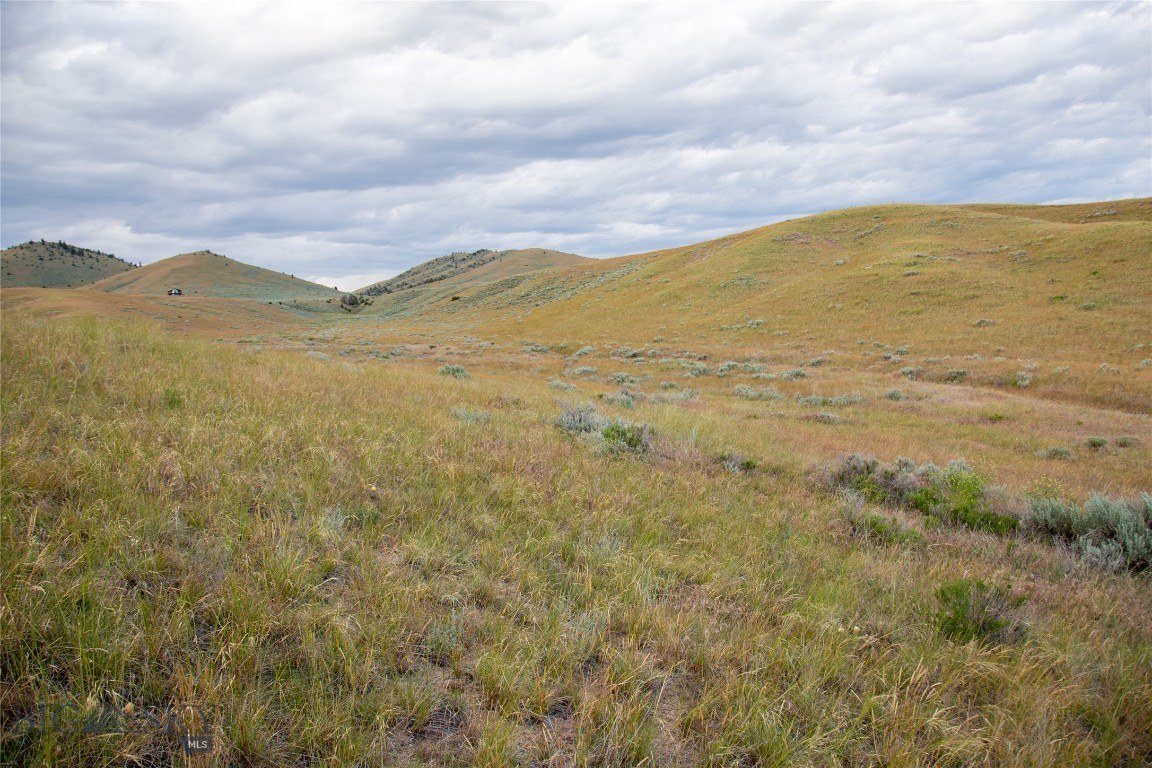 Lots 4, 5, 6, 7, and 8 Twin Knob