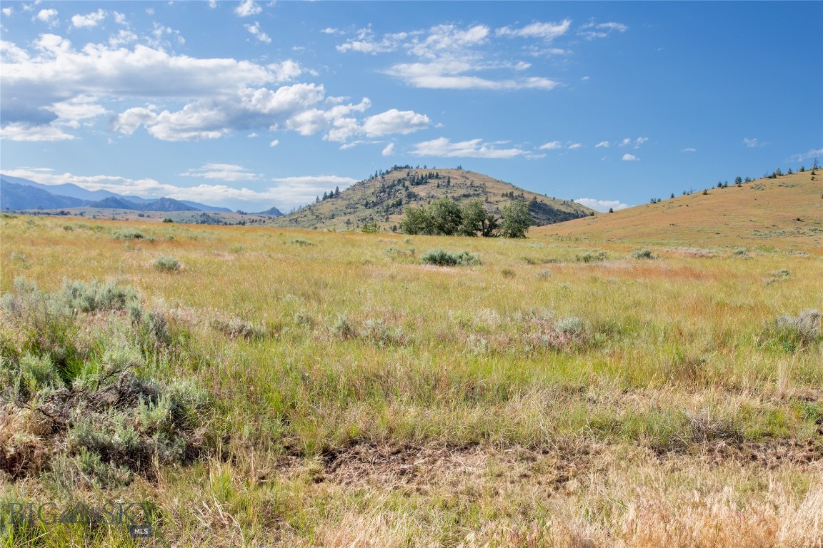 Lots 4, 5, 6, 7, and 8 Twin Knob