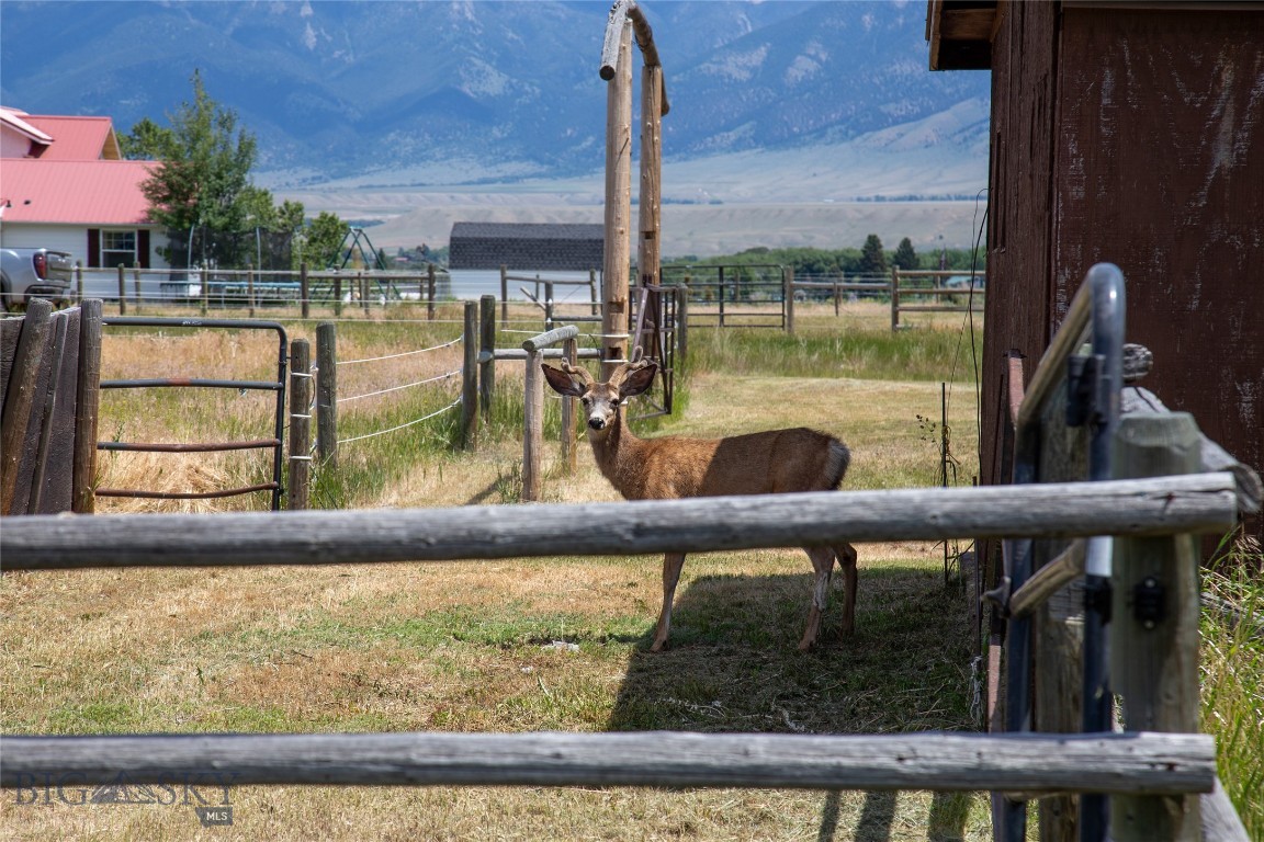 107 Antelope Meadows Road