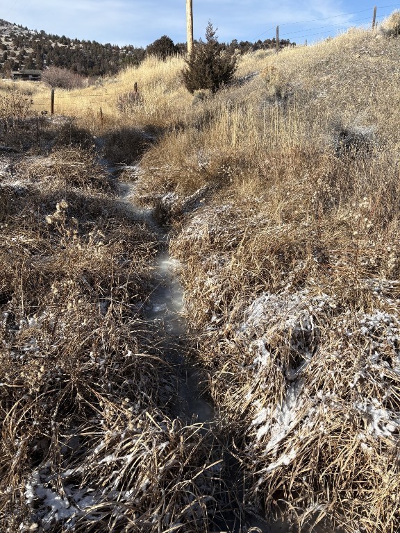 Lot 171 Dry Creek Trail