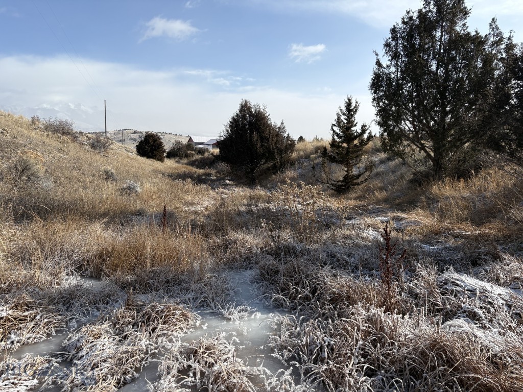Lot 171 Dry Creek Trail