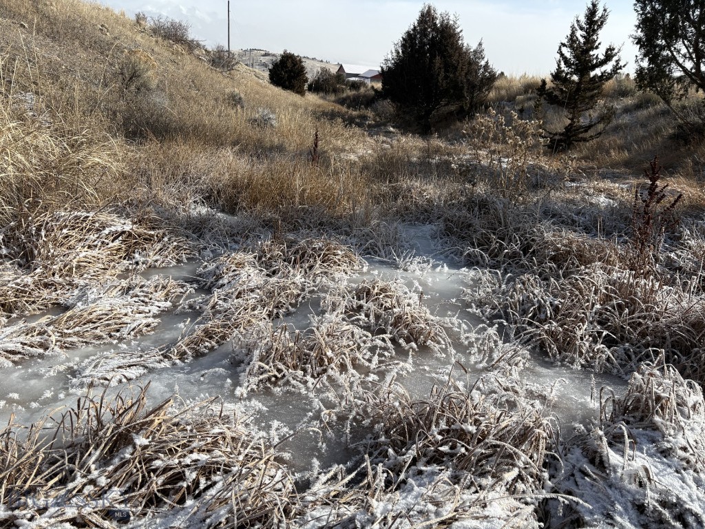 Lot 171 Dry Creek Trail