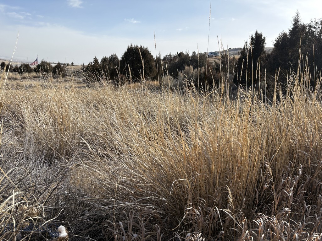 Lot 171 Dry Creek Trail