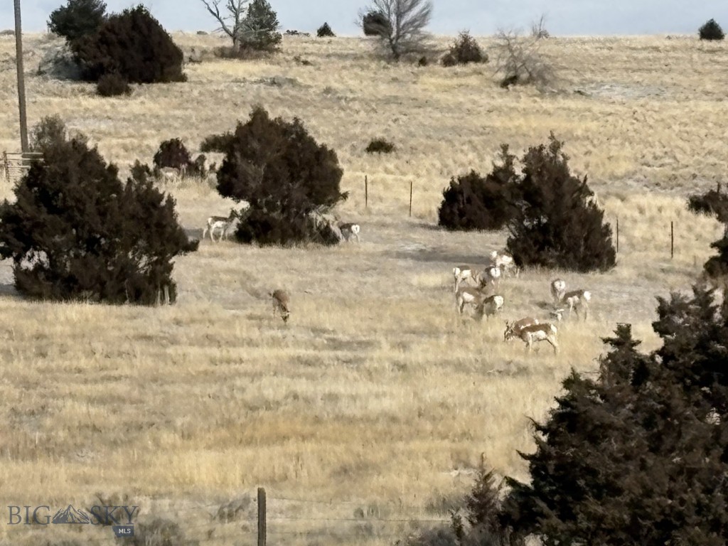 Lot 171 Dry Creek Trail