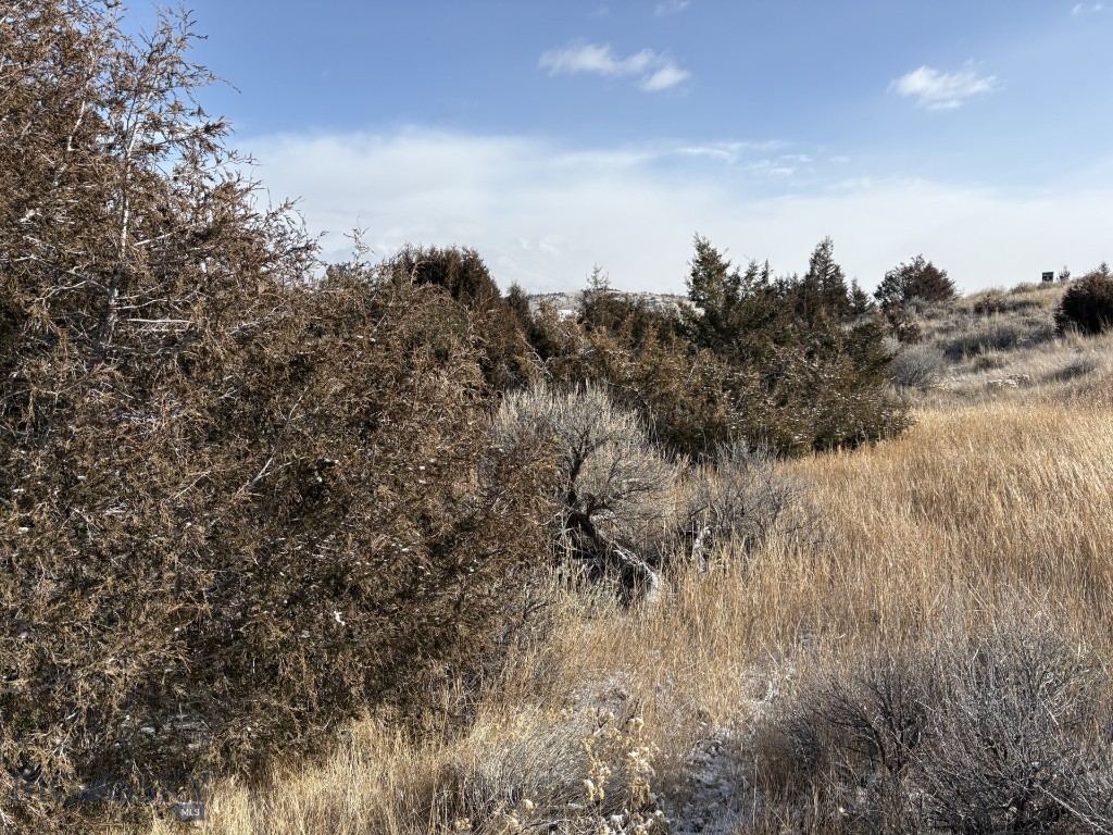 Lot 171 Dry Creek Trail