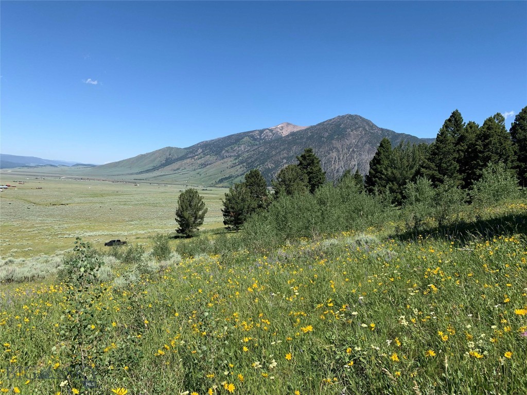 3 S PAINTBRUSH Trail