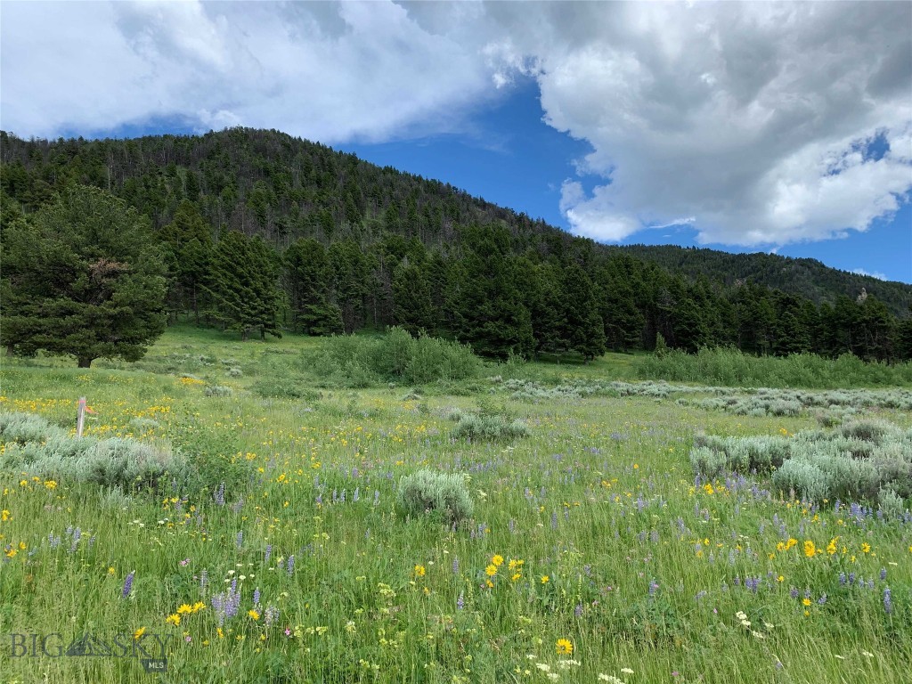 3 S PAINTBRUSH Trail