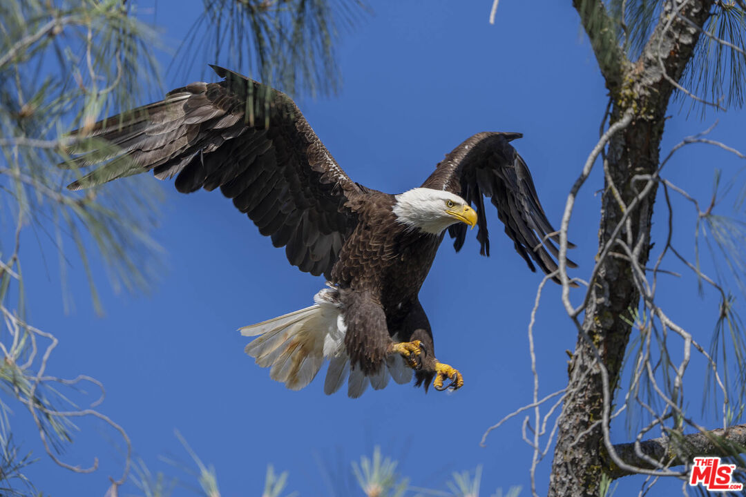 41924 Patrick Avenue Unit: TPN#4337/1