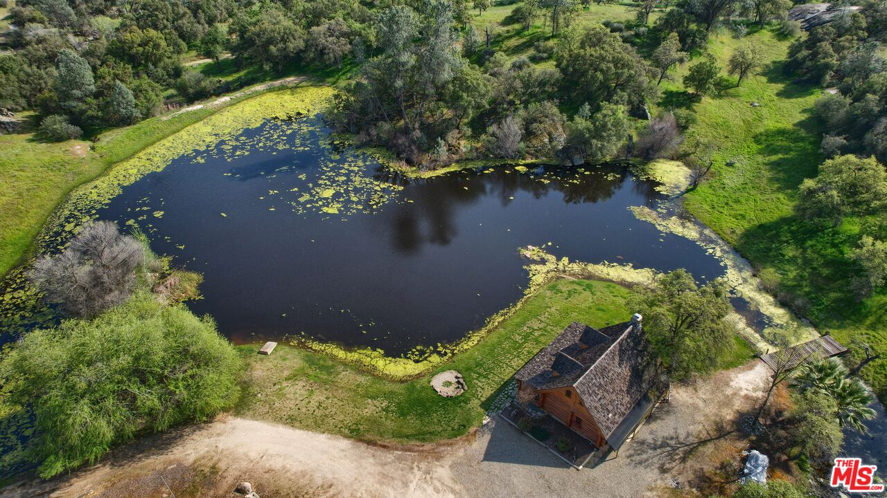 41924 Patrick Avenue Unit: TPN#4337/1