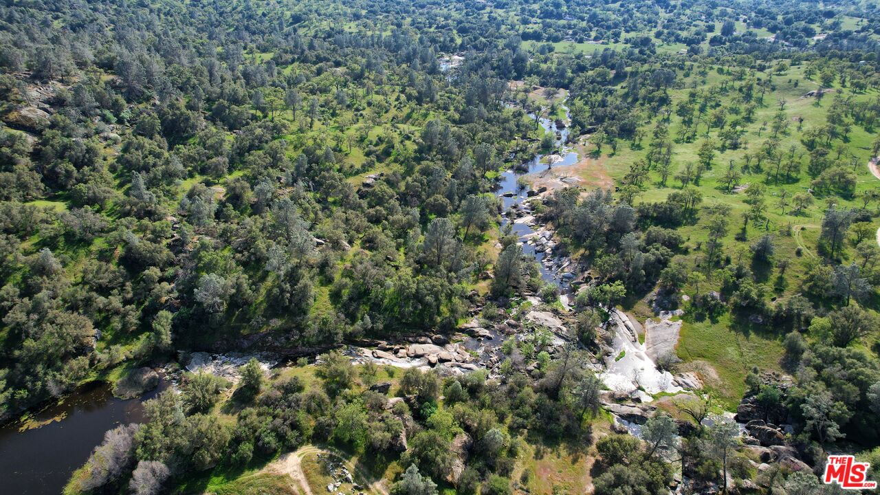 41924 Patrick Ave Unit: 4337/3