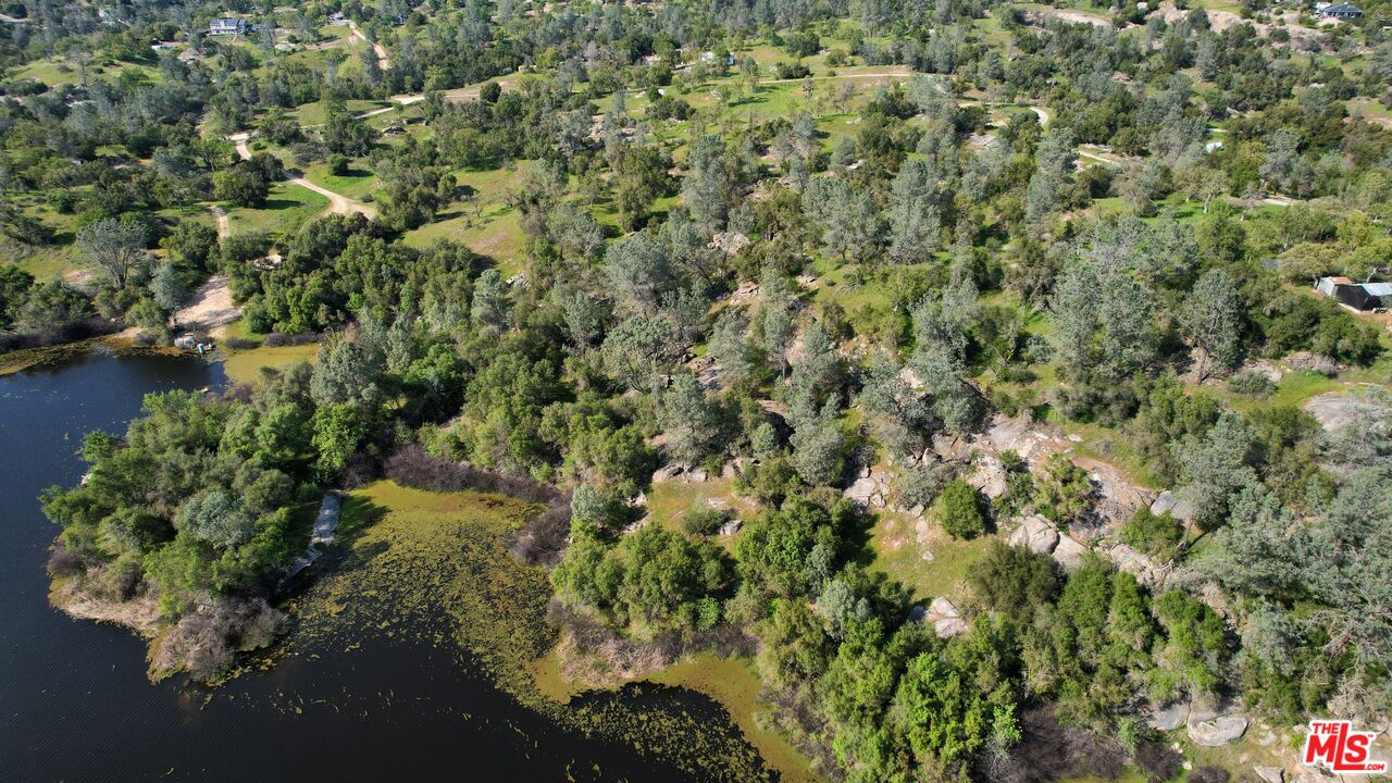 41924 Patrick Ave Unit: 4337/3