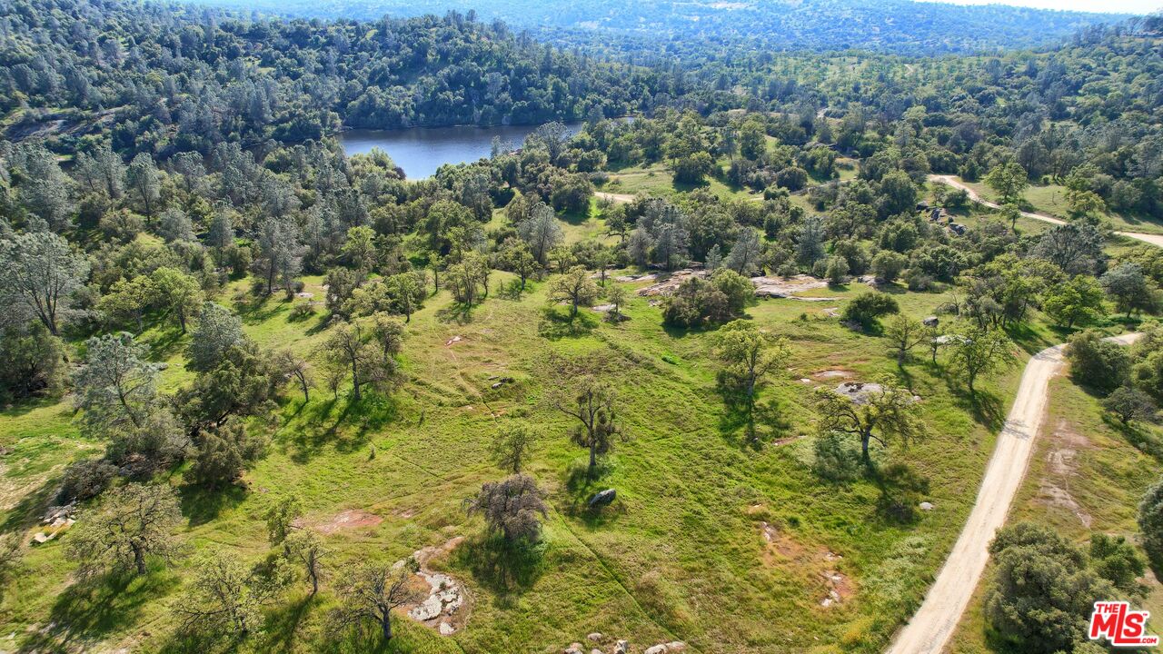 41924 Patrick Ave Unit: 4337/3