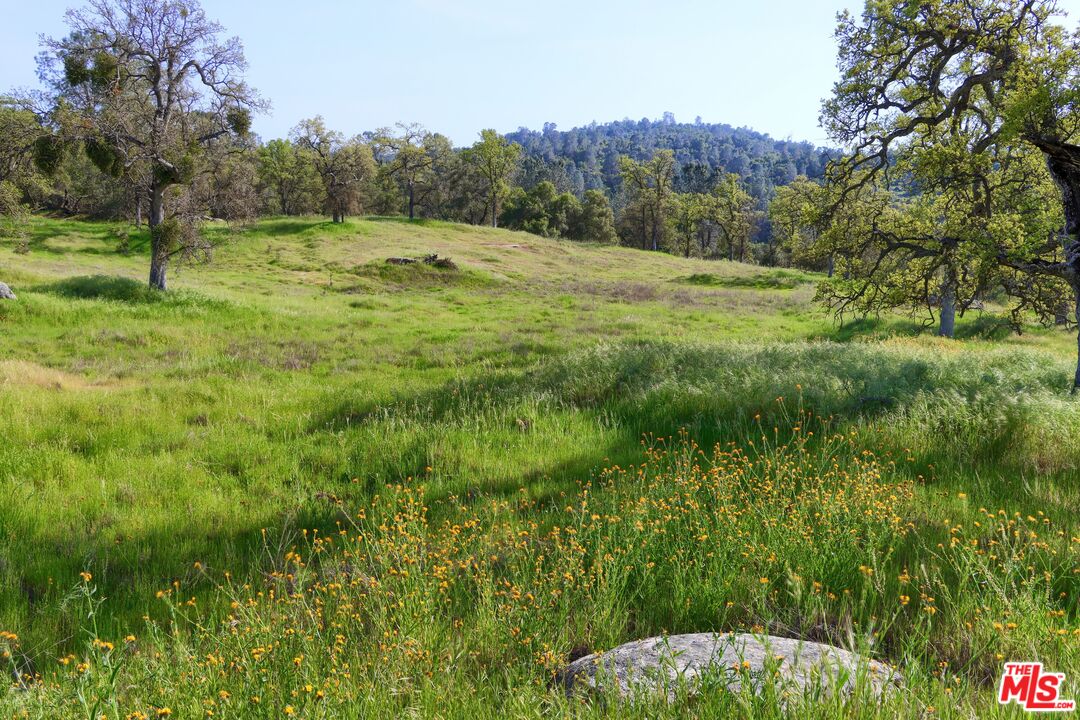 41924 Patrick Ave Unit: 4337/3