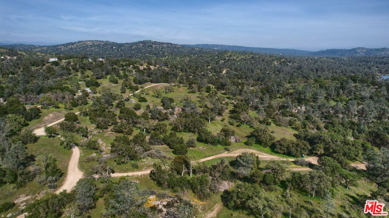 41924 Patrick Ave Unit: 4337/3