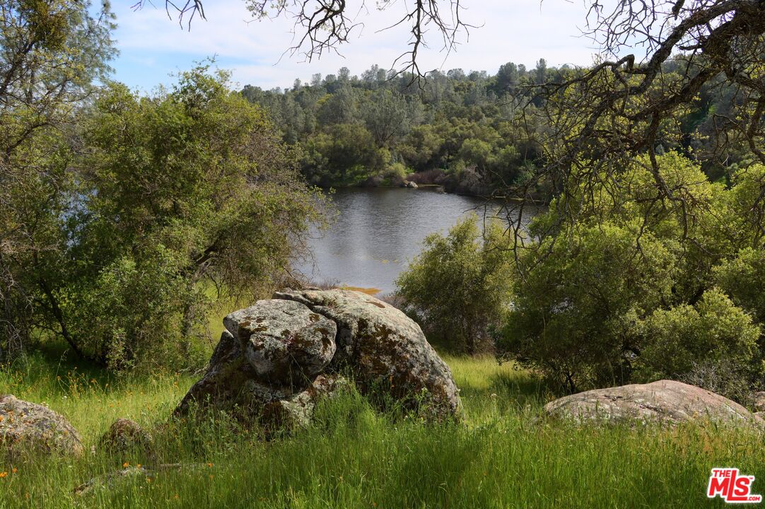 41924 Patrick Ave Unit: 4337/4