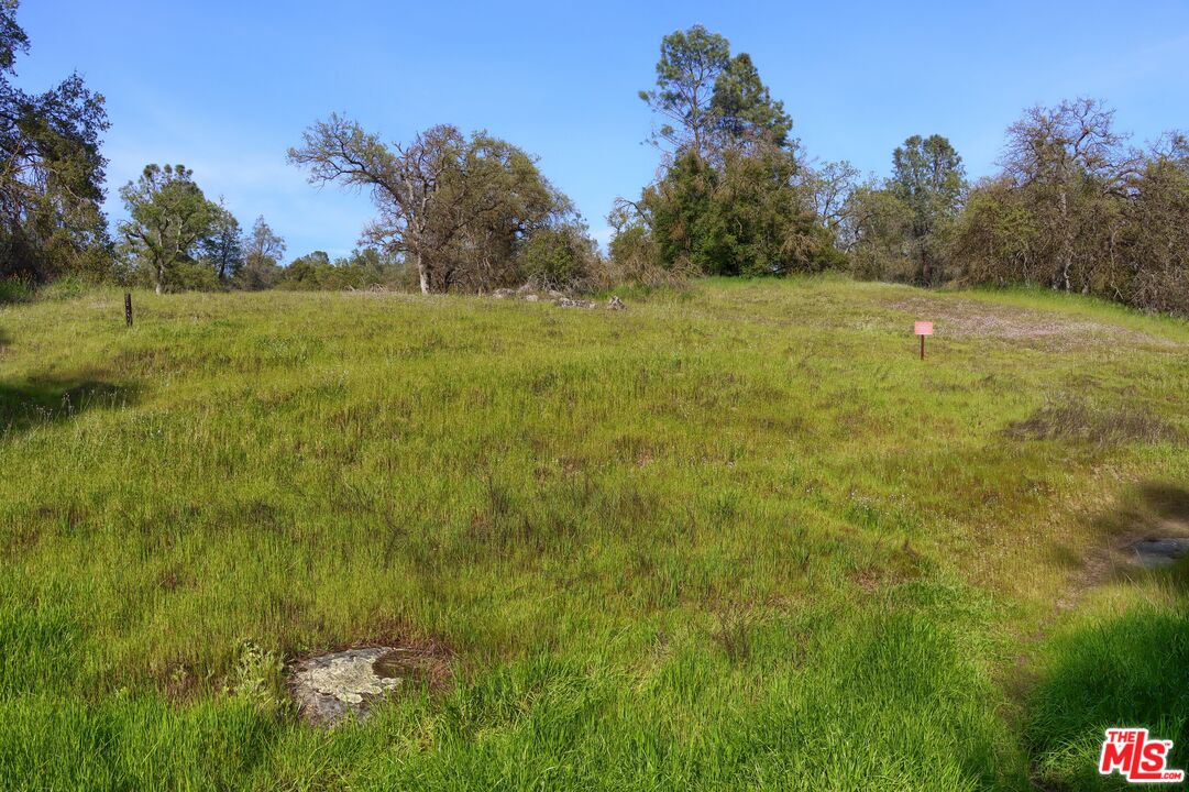 41924 Patrick Ave Unit: 4337/4