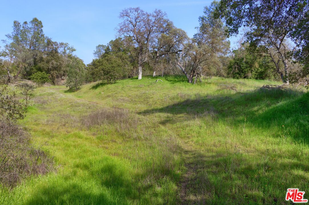 41924 Patrick Ave Unit: 4337/4