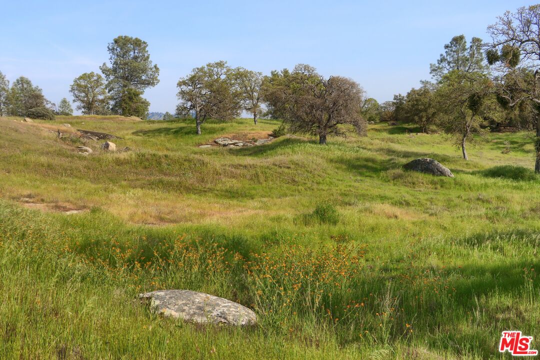 41924 Patrick Ave Unit: 4337/4