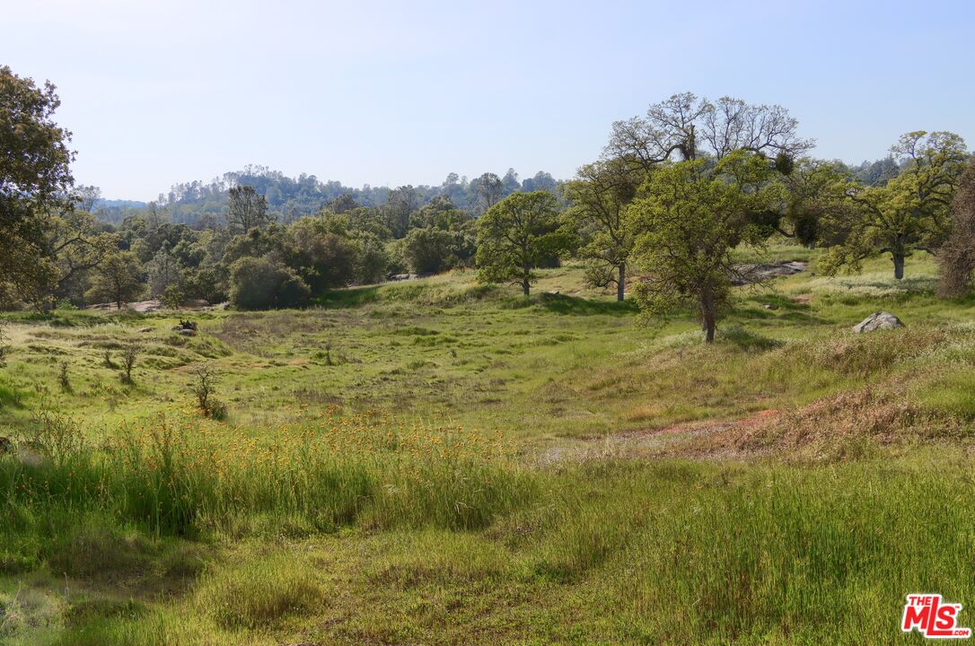 41924 Patrick Ave Unit: 4337/4