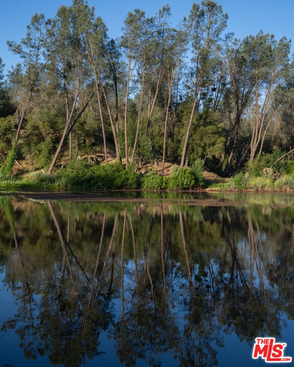 41924 Patrick Ave Unit: 4337/4