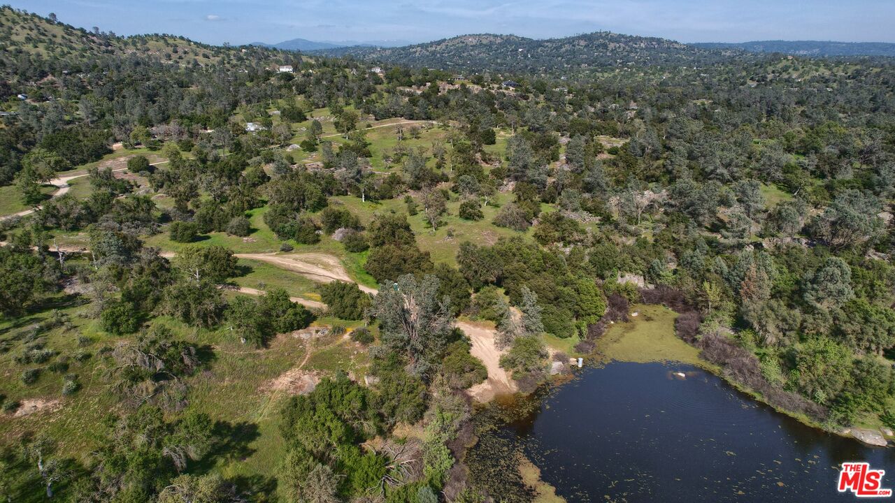 41924 Patrick Ave Unit: 4337/4