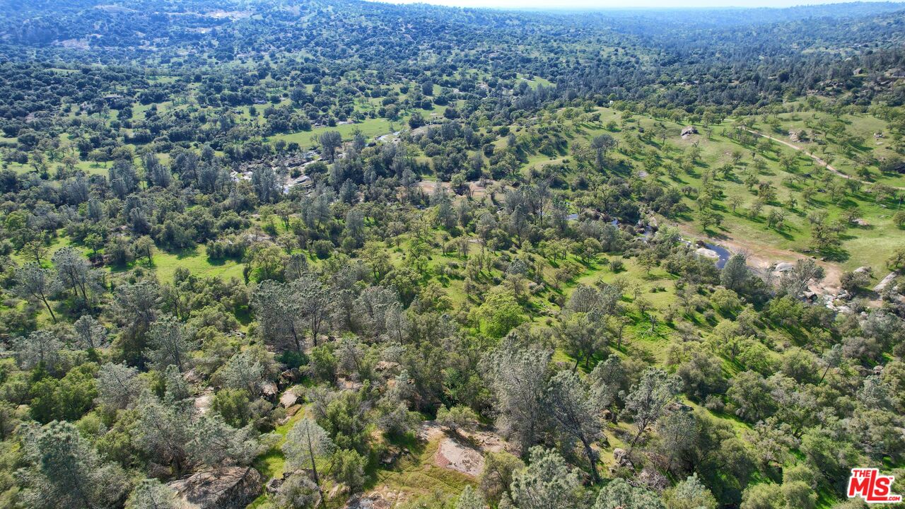 41924 Patrick Ave Unit: 4337/5