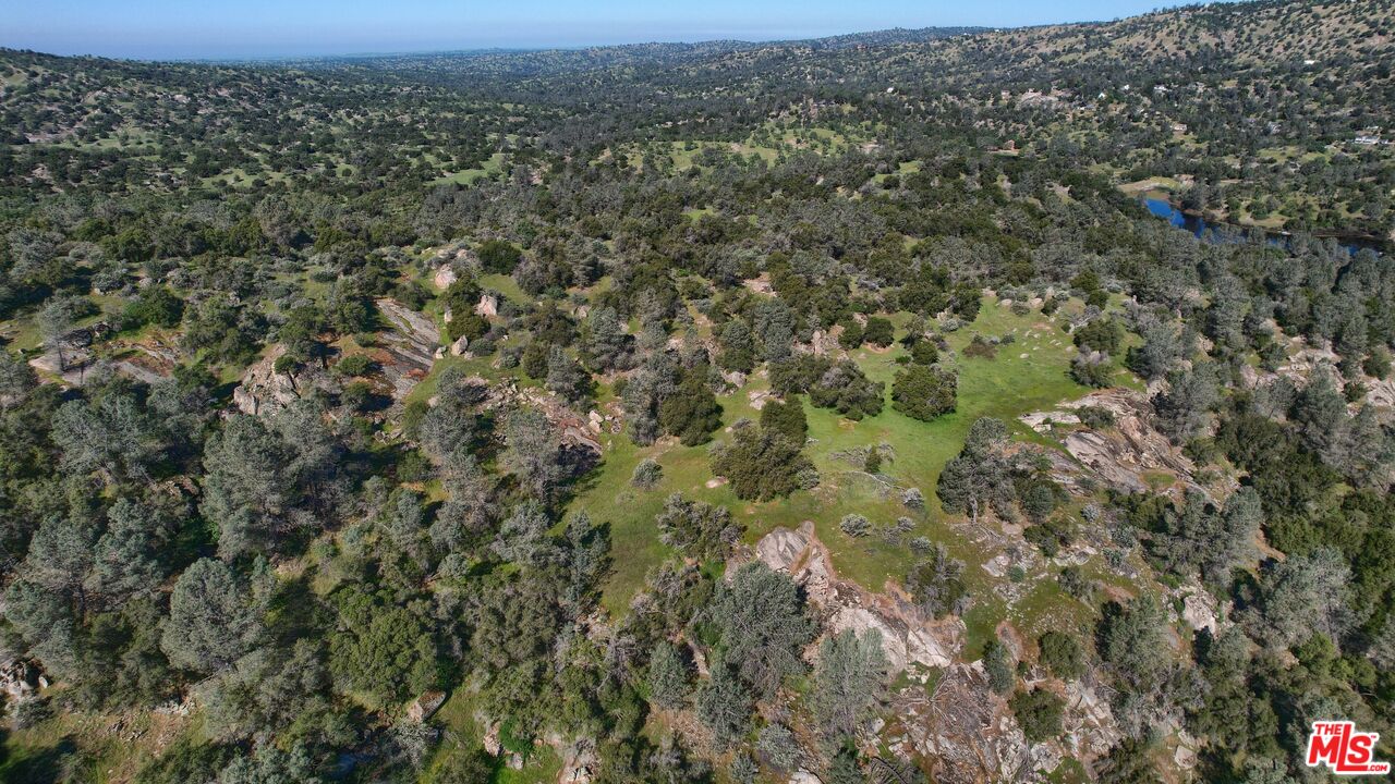 41924 Patrick Ave Unit: 4337/5