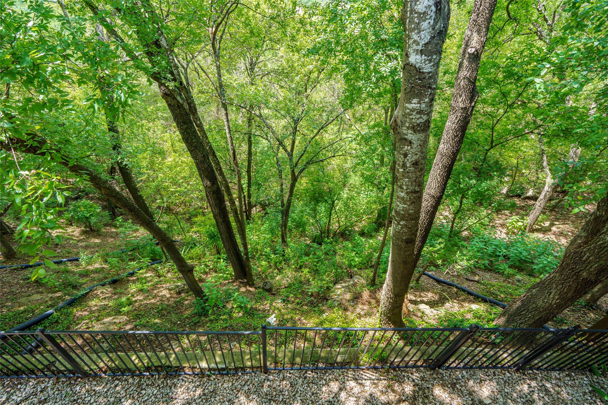 8810 Mountain Path CIR