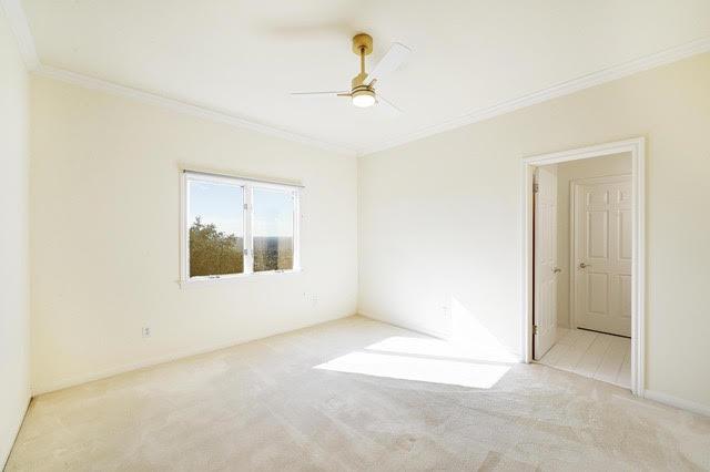 10123 Treasure Island DR