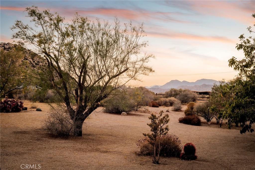 53655 Annie Oakley Road