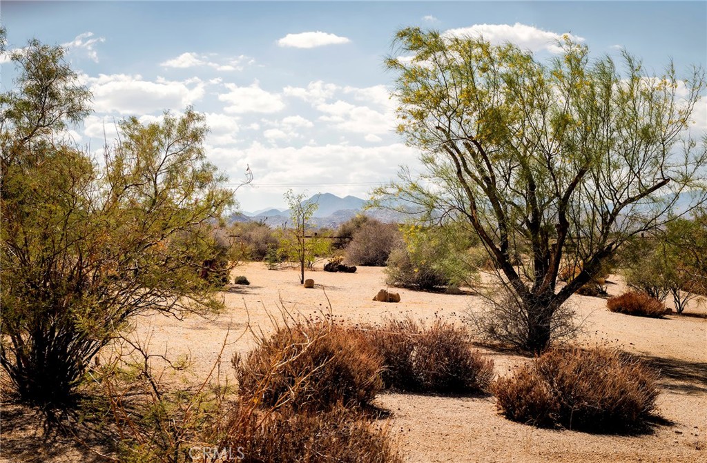 53655 Annie Oakley Road