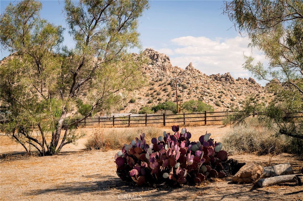 53655 Annie Oakley Road