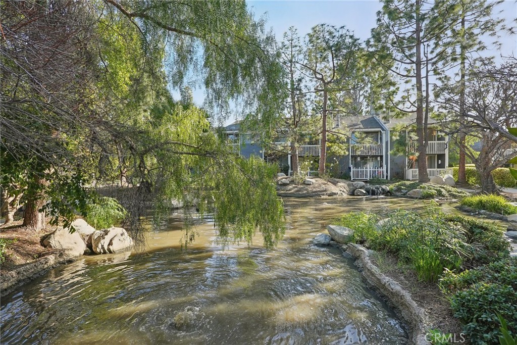 25461 Pine Creek Lane