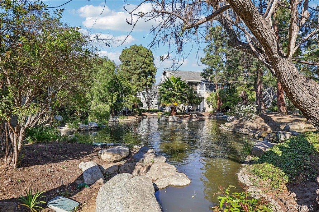 25447 Pine Creek Lane